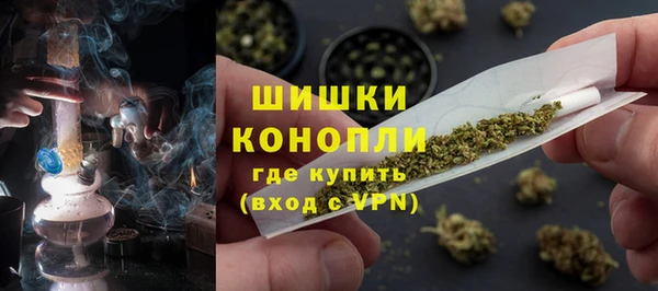 прущие грибы Балабаново