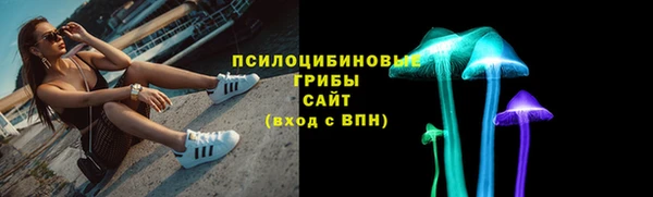 прущие грибы Балабаново